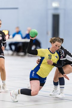 Bild 48 - F HSG Pinnau2 - Rellinger TV2 : Ergebnis: 27:20